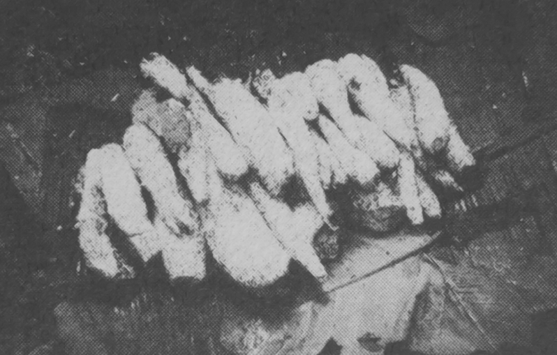 Songola - Racines de manioc après trempage dans eau dormante - ANKEI 1996